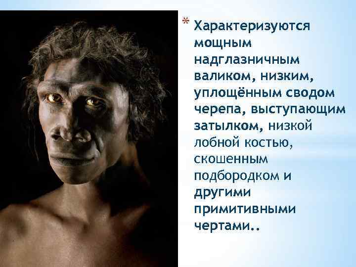 * Характеризуются мощным надглазничным валиком, низким, уплощённым сводом черепа, выступающим затылком, низкой лобной костью,