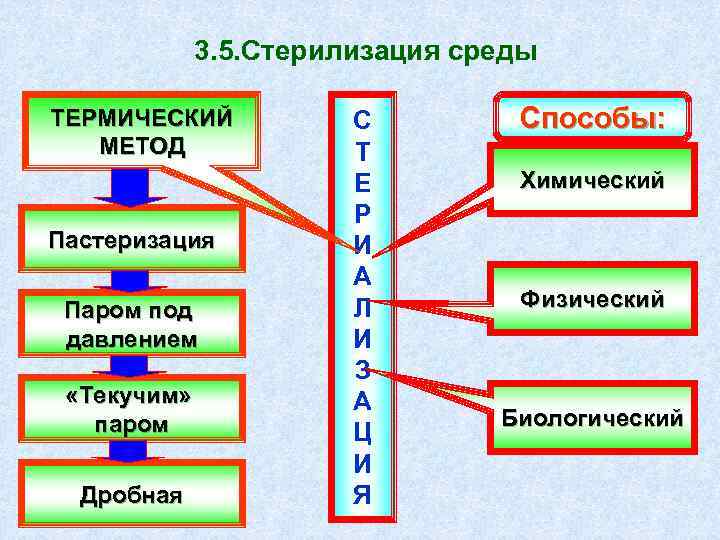 Пастеризация изображения онлайн