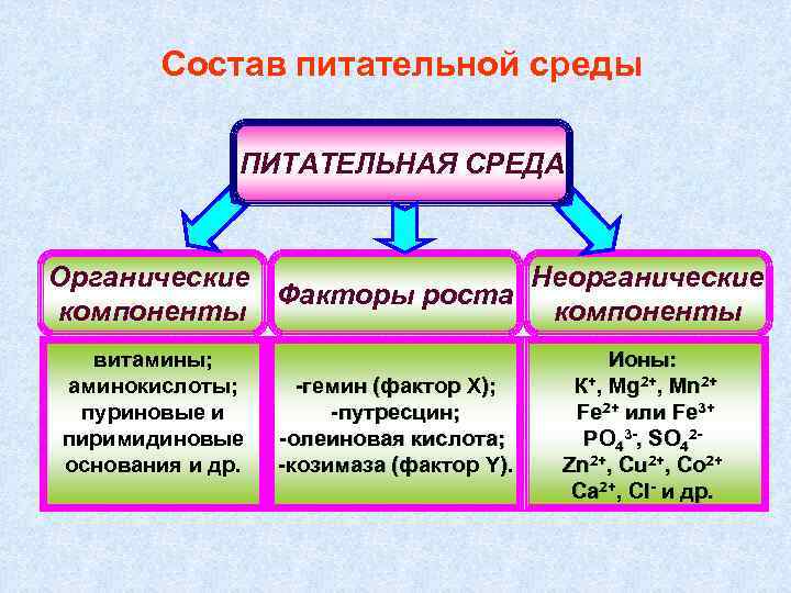 Основной элемент рост