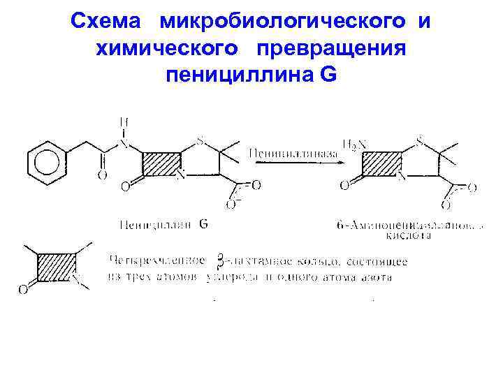 Схема микробиологического и химического превращения пенициллина G 
