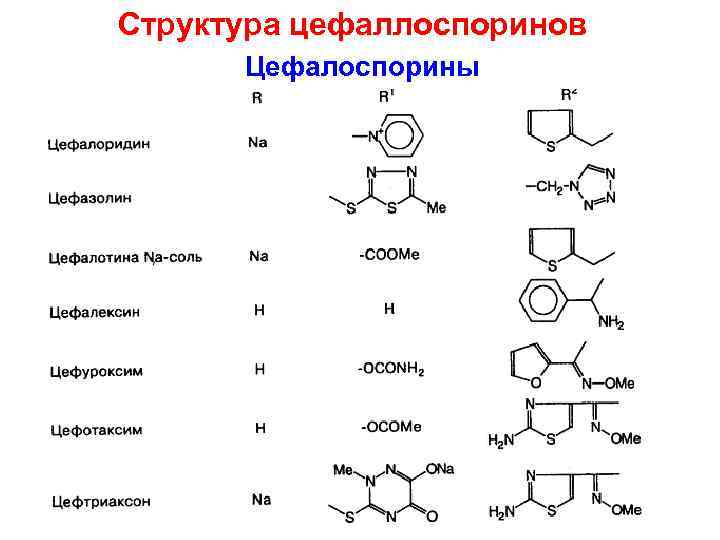 Структура цефаллоспоринов Цефалоспорины 