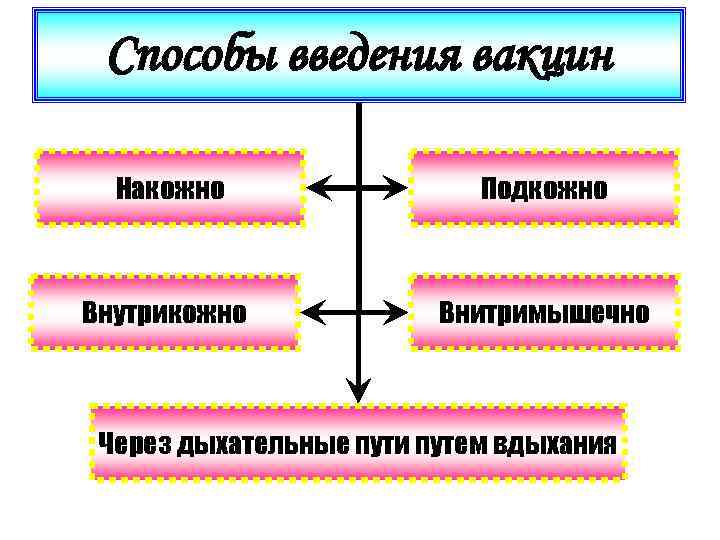 Способы введения вакцин Накожно Подкожно Внутрикожно Внитримышечно Через дыхательные пути путем вдыхания 