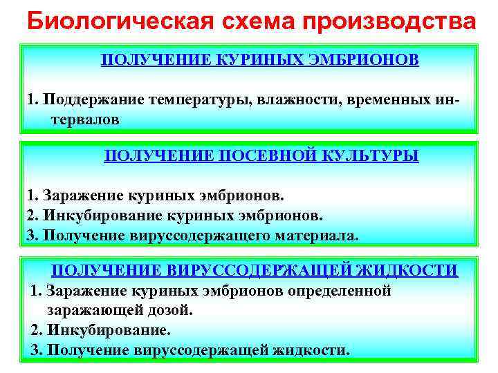 Биологическая схема производства ПОЛУЧЕНИЕ КУРИНЫХ ЭМБРИОНОВ 1. Поддержание температуры, влажности, временных интервалов ПОЛУЧЕНИЕ ПОСЕВНОЙ