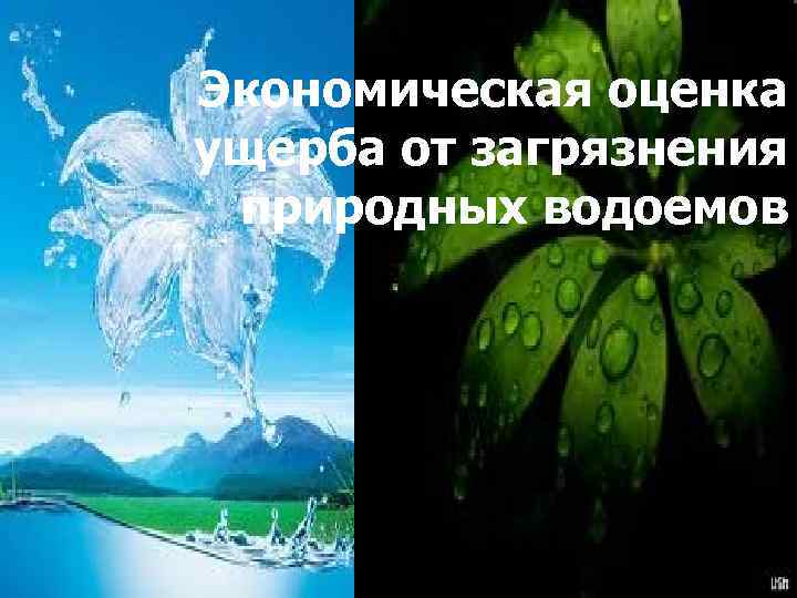 Экономическая оценка ущерба от загрязнения природных водоемов 