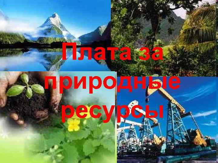 Плата за ресурсы. Плата за природные ресурсы картинки. Природное богатство за рубежом. Плата за использование природных ресурсов картинки. Право пользования природными ресурсами картинки.