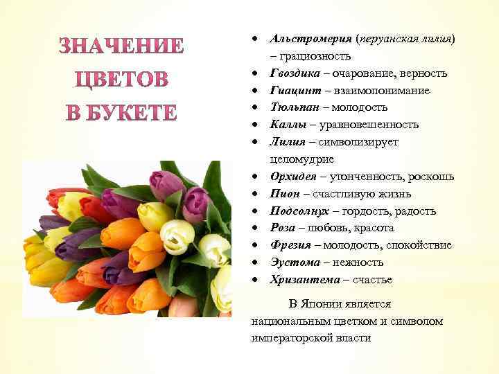  Альстромерия (перуанская лилия) – грациозность Гвоздика – очарование, верность Гиацинт – взаимопонимание Тюльпан