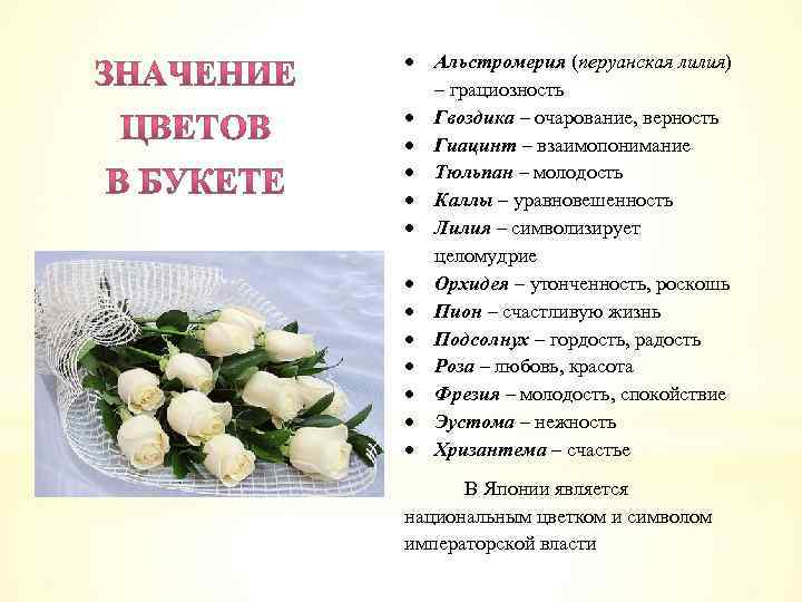  Альстромерия (перуанская лилия) – грациозность Гвоздика – очарование, верность Гиацинт – взаимопонимание Тюльпан