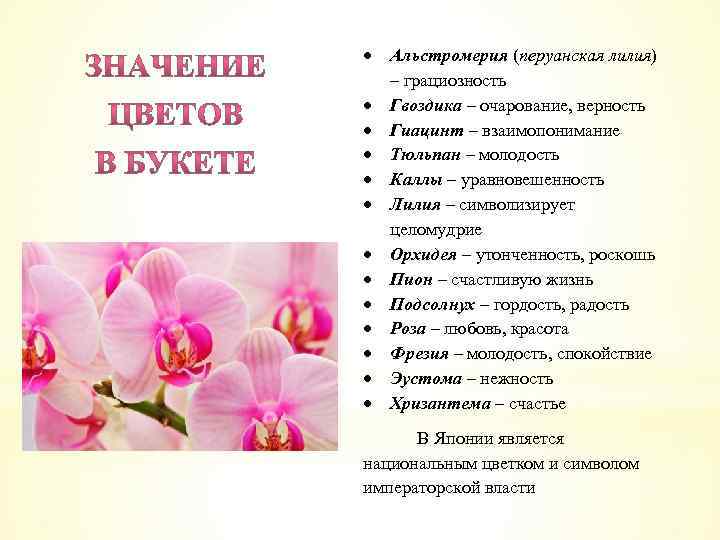  Альстромерия (перуанская лилия) – грациозность Гвоздика – очарование, верность Гиацинт – взаимопонимание Тюльпан