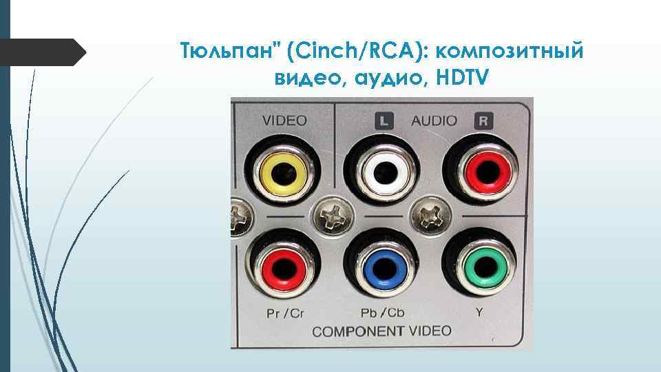 Тюльпан" (Cinch/RCA): композитный видео, аудио, HDTV 