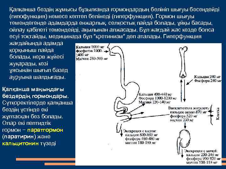 Қалқанша бездің жұмысы бұзылғанда гормондардың бөлініп шығуы бәсеңдейді (гипофункция) немесе көптеп бөлінеді (гиперфункция). Гормон