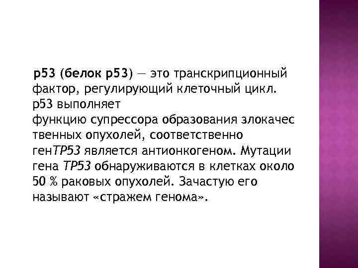 p 53 (белок p 53) — это транскрипционный фактор, регулирующий клеточный цикл. p 53