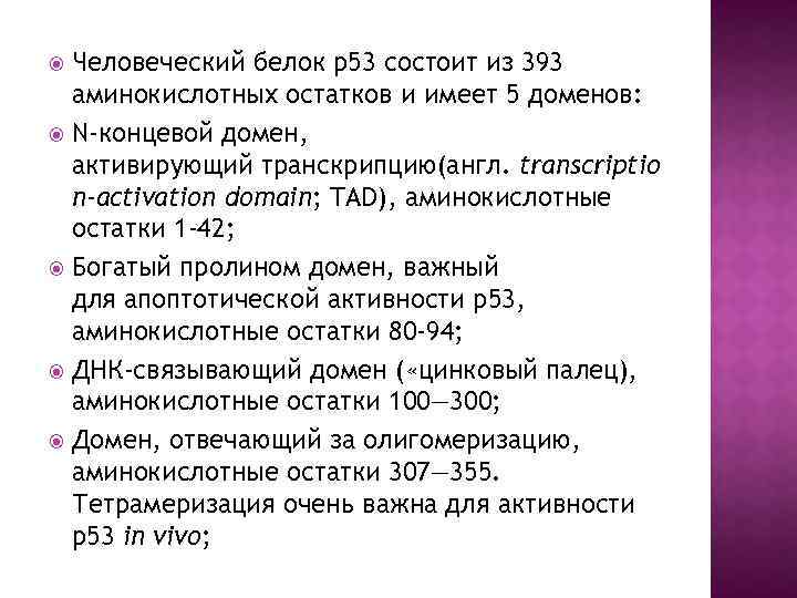Человеческий белок p 53 состоит из 393 аминокислотных остатков и имеет 5 доменов: N-концевой