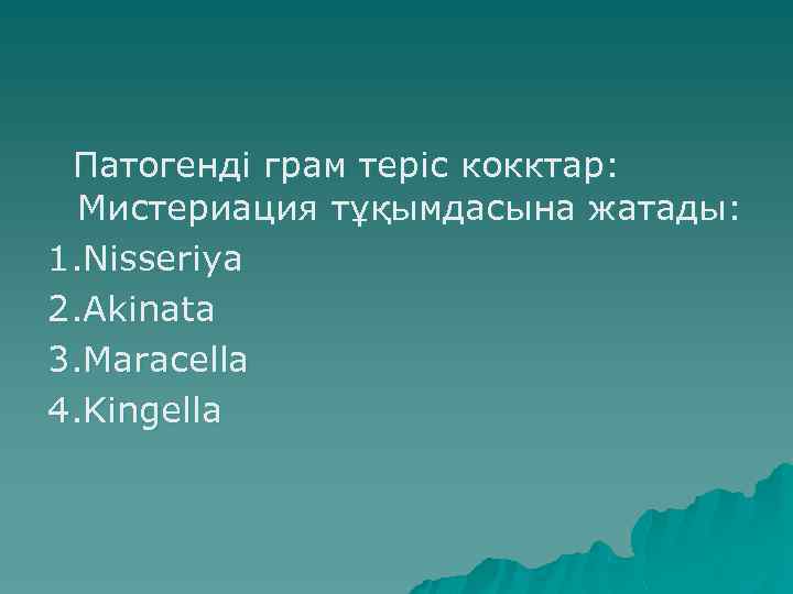  Патогенді грам теріс кокктар: Мистериация тұқымдасына жатады: 1. Nisseriya 2. Akinata 3. Maracella