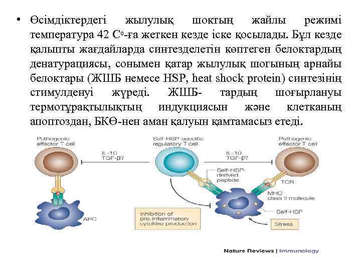  • Өсімдіктердегі жылулық шоктың жайлы режимі температура 42 Сᵒ-ға жеткен кезде іске қосылады.