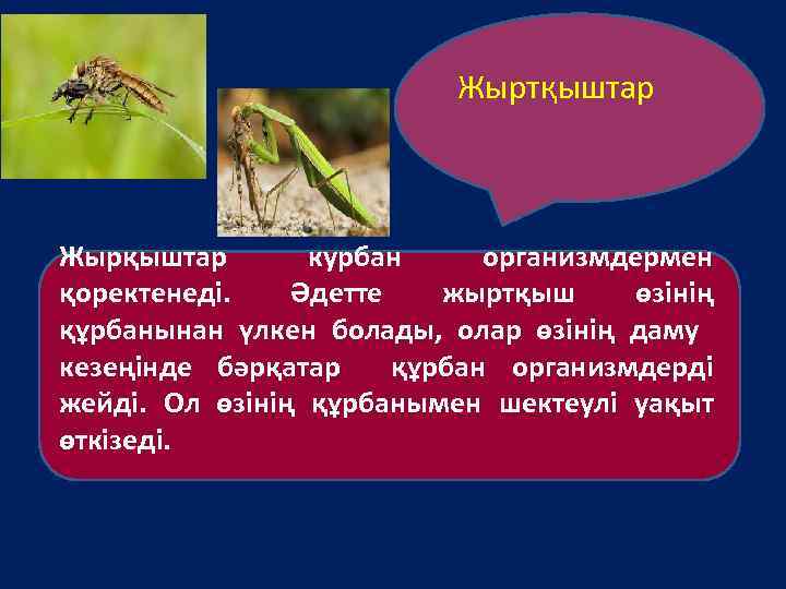 Жыртқыштар Жырқыштар курбан организмдермен қоректенеді. Әдетте жыртқыш өзінің құрбанынан үлкен болады, олар өзінің даму