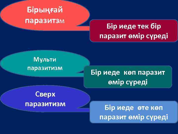 Бірыңғай паразитзм Мульти паразитизм Сверх паразитизм Бір иеде тек бір паразит өмір сүреді Бір