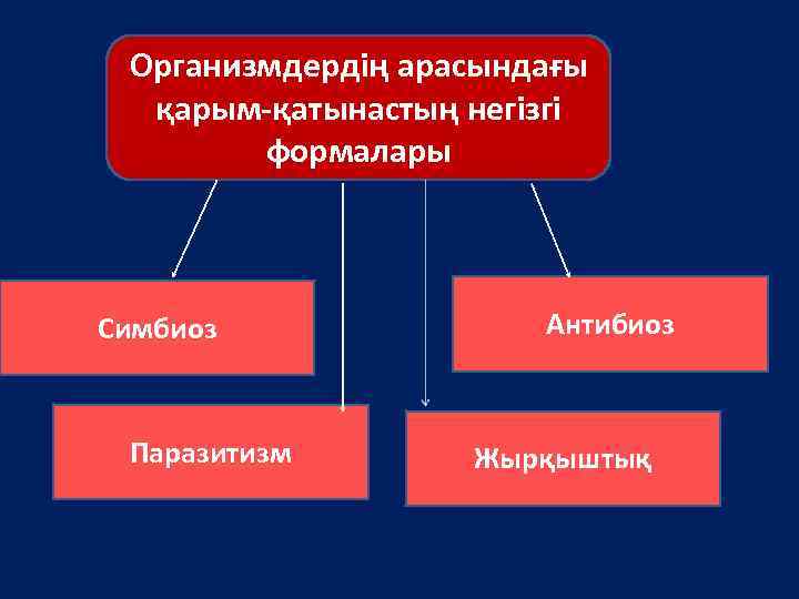 Организмдердің арасындағы қарым-қатынастың негізгі формалары Симбиоз Паразитизм Антибиоз Жырқыштық 