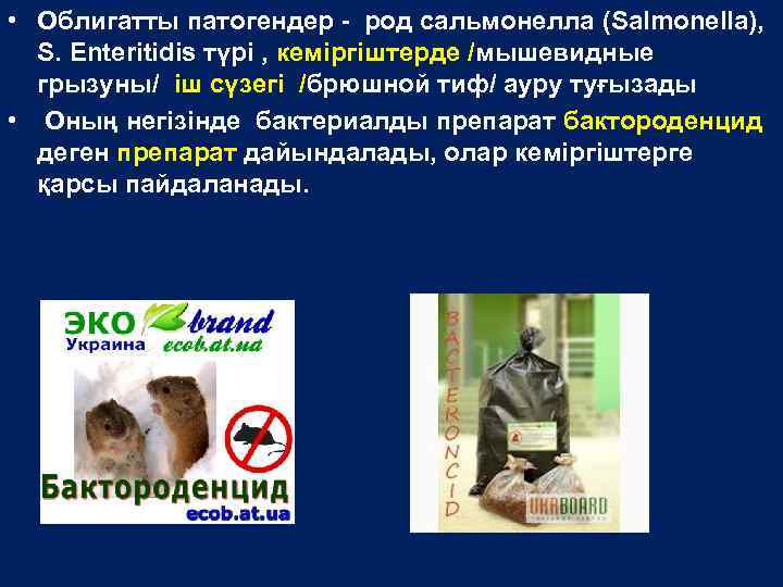  • Облигатты патогендер - род сальмонелла (Salmonella), S. Enteritidis түрі , кеміргіштерде /мышевидные