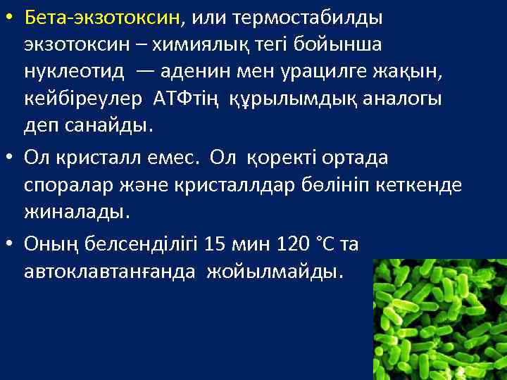  • Бета-экзотоксин, или термостабилды экзотоксин – химиялық тегі бойынша нуклеотид — аденин мен