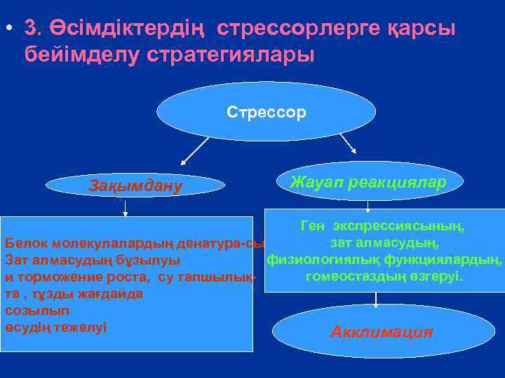  • 3. Өсімдіктердің стрессорлерге қарсы бейімделу стратегиялары Стрессор Зақымдану Жауап реакциялар Ген экспрессиясының,