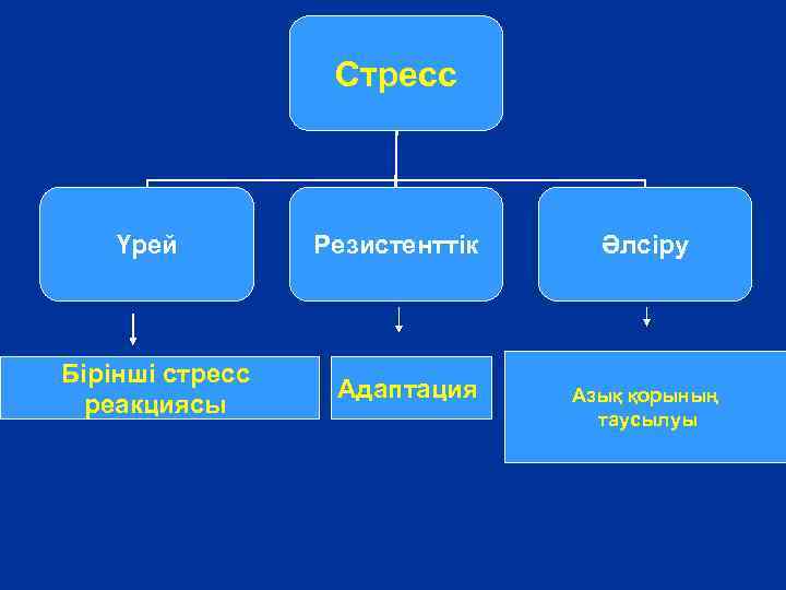 Стресс Үрей Бірінші стресс реакциясы Резистенттік Адаптация Әлсіру Азық қорының таусылуы 