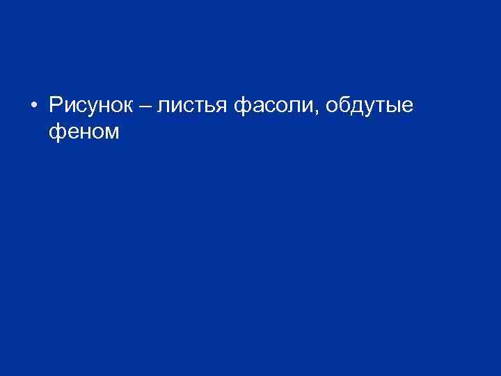  • Рисунок – листья фасоли, обдутые феном 