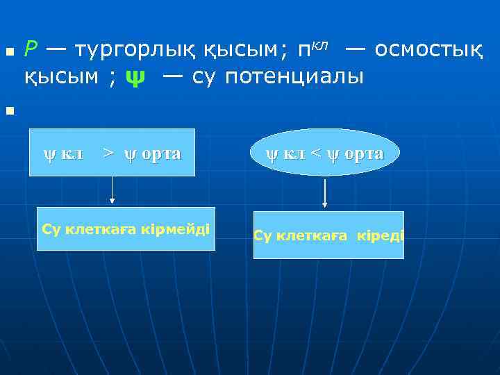 n Р — тургорлық қысым; πкл — осмостық қысым ; ψ — су потенциалы