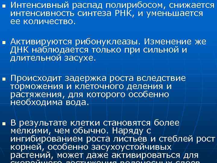 n n Интенсивный распад полирибосом, снижается интенсивность синтеза РНК, и уменьшается ее количество. Активируются