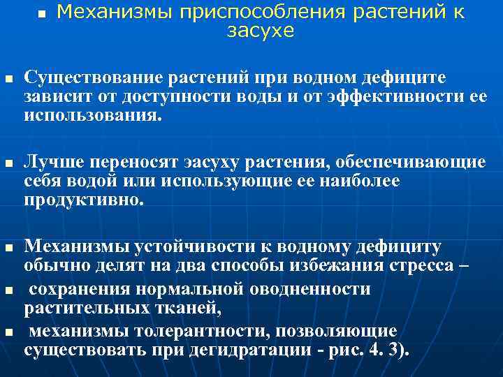 Приспособления растений. Приспособление растений к засухе. Приспособленность растений к засухе. Механизмы приспособления растений к засухе.. Адаптации растений к засухе.