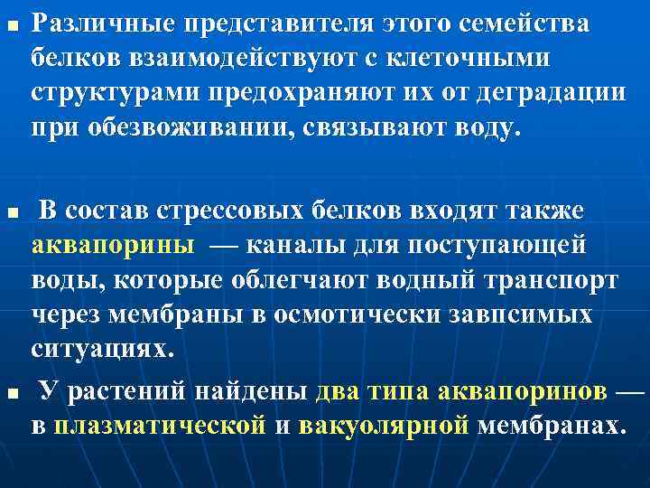 n n n Различные представителя этого семейства белков взаимодействуют с клеточными структурами предохраняют их