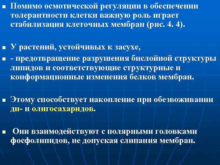 n n n Помимо осмотической регуляции в обеспечении толерантности клетки важную роль играет стабилизация