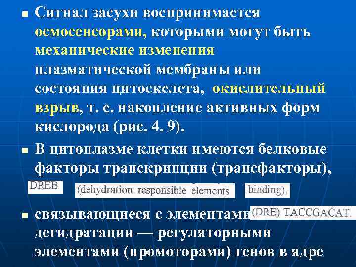 n n n Сигнал засухи воспринимается осмосенсорами, которыми могут быть механические изменения плазматической мембраны