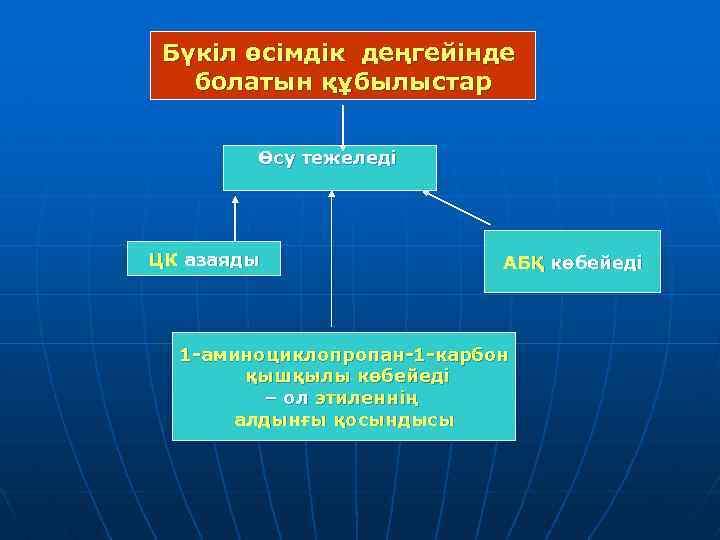 Бүкіл өсімдік деңгейінде болатын құбылыстар Өсу тежеледі ЦК азаяды АБҚ көбейеді 1 -аминоциклопропан-1 -карбон