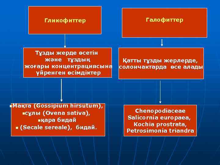 Гликофиттер Тұзды жерде өсетін және тұздың жоғары концентрациясына үйренген өсімдіктер n. Мақта n (Gossipium