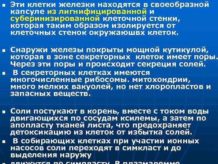 n n n Эти клетки железки находятся в своеобразной капсуле из лигнифицированной и суберинизированной