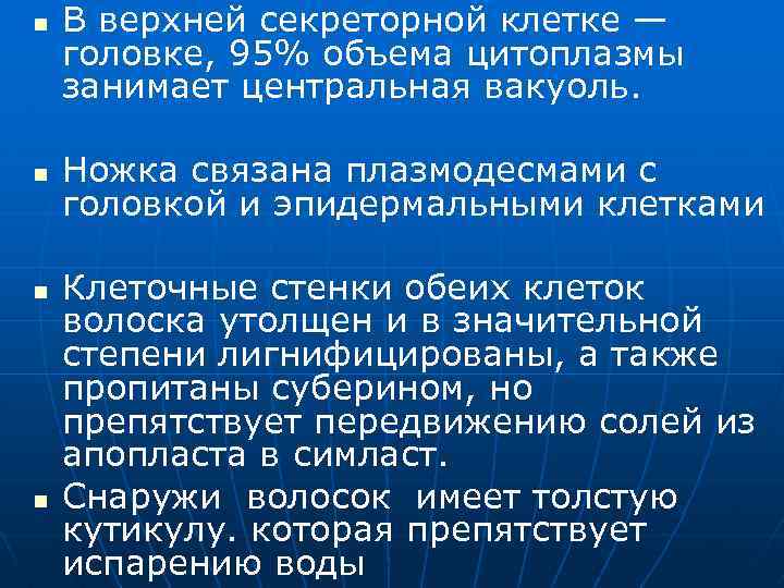 n n В верхней секреторной клетке — головке, 95% объема цитоплазмы занимает центральная вакуоль.