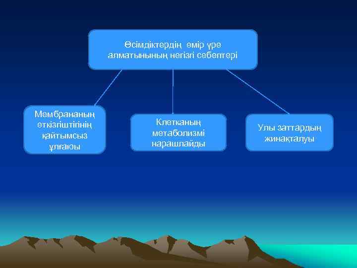 Ферменттердің ролі және қолданылуы презентация