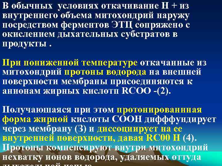 В обычных условиях откачивание Н + из внутреннего объема митохондрий наружу посредством ферментов ЭТЦ