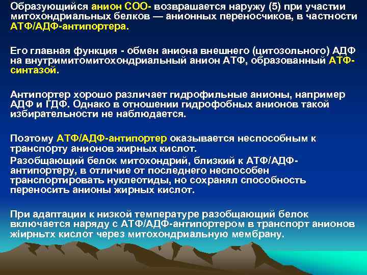  • Образующийся анион СОО- возврашается наружу (5) при участии митохондриальных белков — анионных