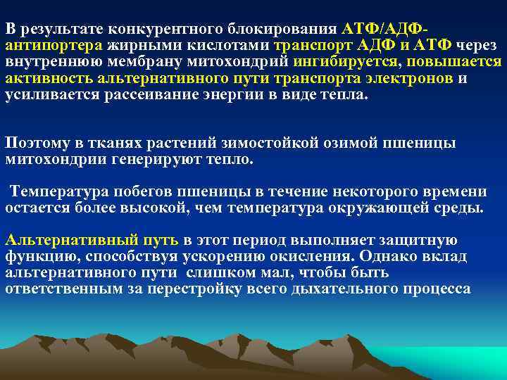 В результате конкурентного блокирования АТФ/АДФантипортера жирными кислотами транспорт АДФ и АТФ через внутреннюю мембрану