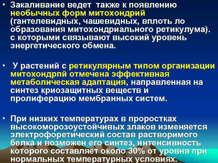  • Закаливание ведет также к появлению необычных форм митохондрий (гантелевидных, чашевидных, вплоть ло