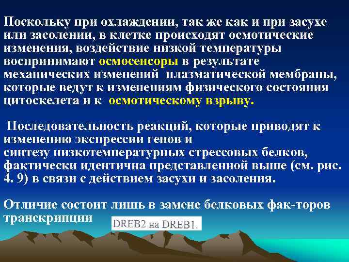 Поскольку при охлаждении, так же как и при засухе или засолении, в клетке происходят