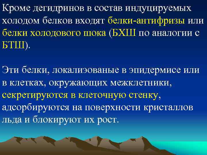 Кроме дегидринов в состав индуцируемых холодом белков входят белки-антифризы или белки холодового шока (БХШ