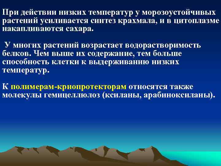 При действии низких температур у морозоустойчивых растений усиливается синтез крахмала, и в цитоплазме накапливаются