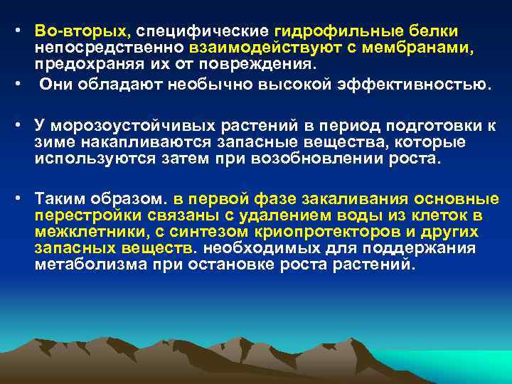  • Во-вторых, специфические гидрофильные белки непосредственно взаимодействуют с мембранами, предохраняя их от повреждения.