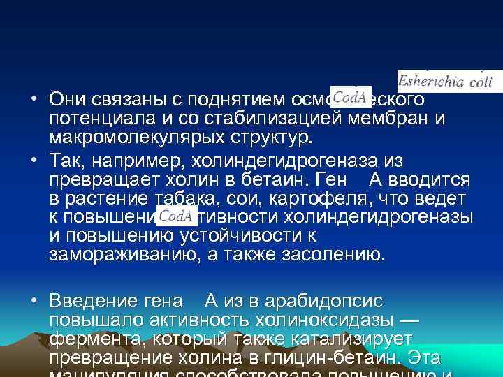  • Они связаны с поднятием осмотического потенциала и со стабилизацией мембран и макромолекулярых