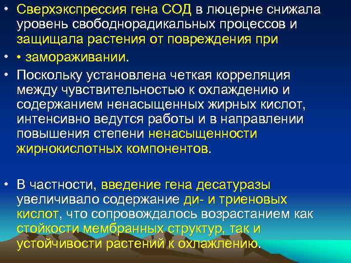  • Сверхэкспрессия гена СОД в люцерне снижала уровень свободнорадикальных процессов и защищала растения
