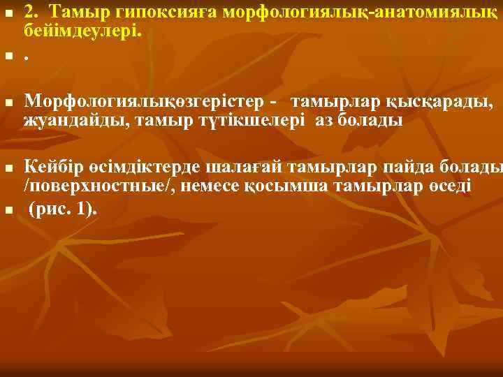 n n n 2. Тамыр гипоксияға морфологиялық-анатомиялық бейімдеулері. . Морфологиялықөзгерістер - тамырлар қысқарады, жуандайды,