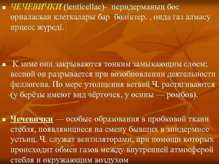 n n n ЧЕЧЕВИЧКИ (lenticellae)- перидерманың бос орналасқан клеткалары бар бөліктер. , онда газ
