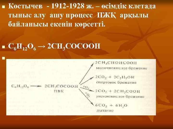 n n n Костычев - 1912 -1928 ж. – өсімдік клетада тыныс алу ашу